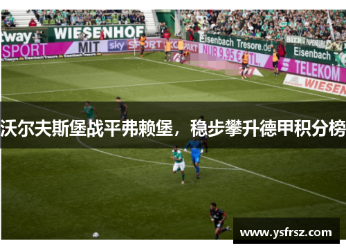 沃尔夫斯堡战平弗赖堡，稳步攀升德甲积分榜